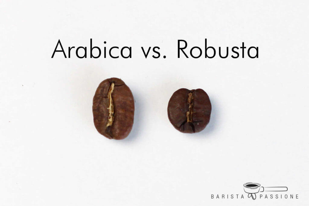 unterschiede-arabica-vs-robusta